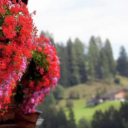 Near Zell Am Kaprun