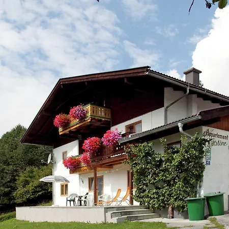 Near Zell Am Kaprun Niedernsill